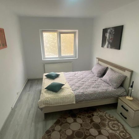 Apartment Dabic Remote And Fun 布拉索夫 外观 照片