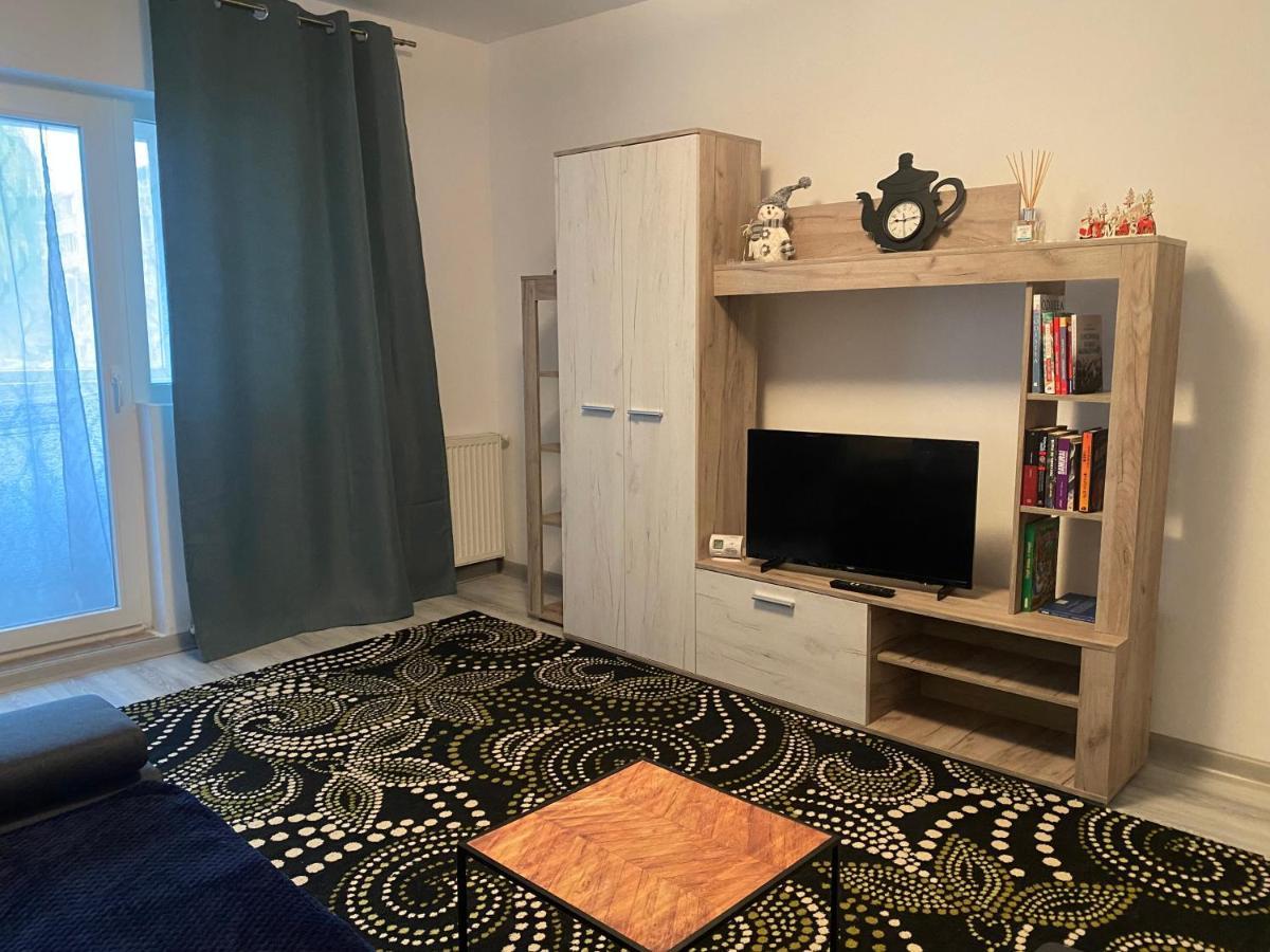 Apartment Dabic Remote And Fun 布拉索夫 外观 照片