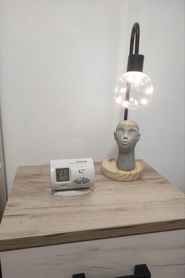Apartment Dabic Remote And Fun 布拉索夫 外观 照片