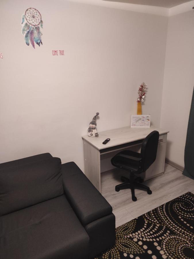 Apartment Dabic Remote And Fun 布拉索夫 外观 照片
